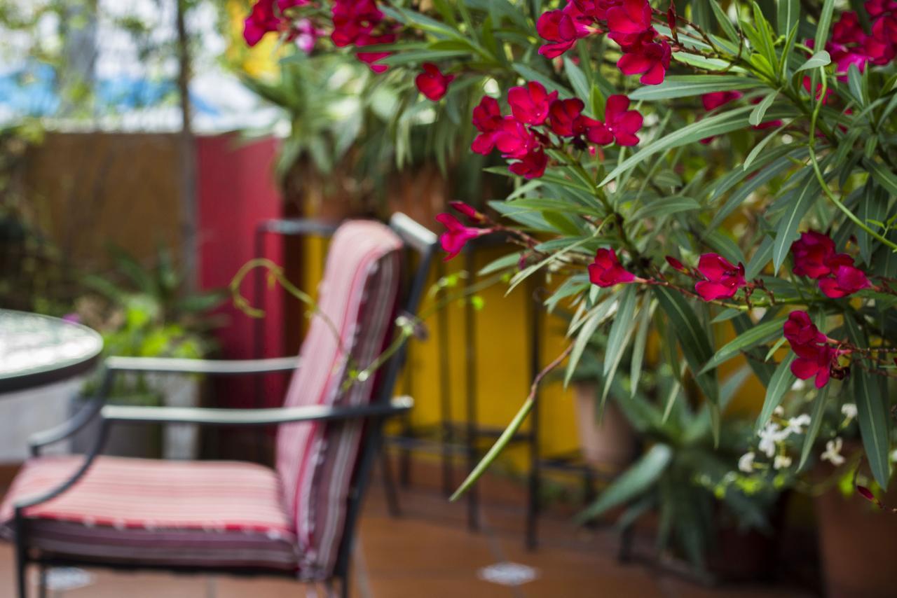 Abode Buenos Aires Bed & Breakfast エクステリア 写真